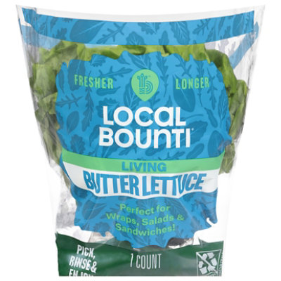 Local Bounti Living Butter Conv Lettuce - EA - Image 1