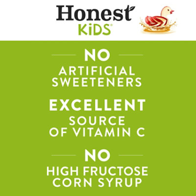 Honest Kids Organic Juice Drink - Appley Ever After - 5 Packs Total (48 Fl oz Per Pack) - Image 2