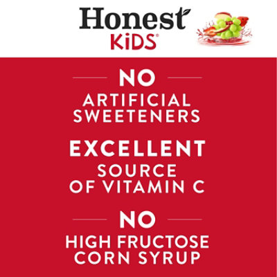 Honest Kids Organic Juice Drink - Super Fruit Puch - 5 Packs Total (48 Fl oz Per Pack) - Image 2