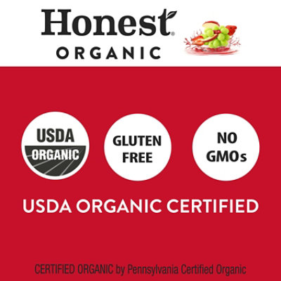 Honest Kids Organic Juice Drink - Super Fruit Puch - 5 Packs Total (48 Fl oz Per Pack) - Image 1