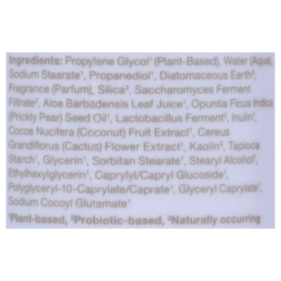 Hume Coconut Coast Stick 2oz - 2 OZ - Image 4