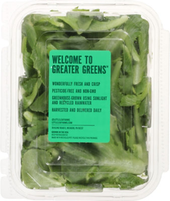Little Leaf Romaine Clamshell 4oz - 4 OZ - Image 4