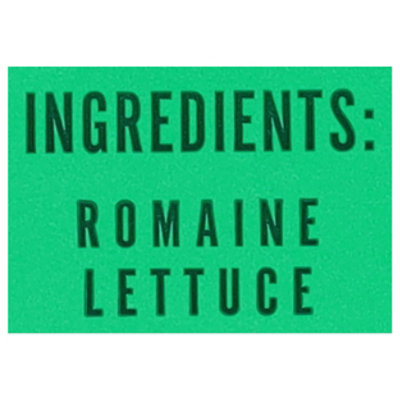 Little Leaf Romaine Clamshell 4oz - 4 OZ - Image 3