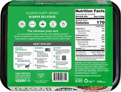 Hodo Foods Japanese Teriyaki Tofu 16oz - 16 OZ - Image 6