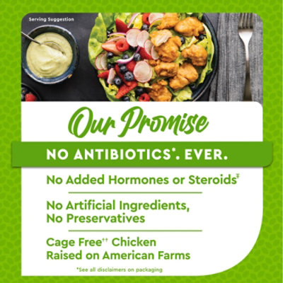 Just Bare Lightly Breaded Chicken Breast Bites 36 Oz - 36 OZ - Image 5