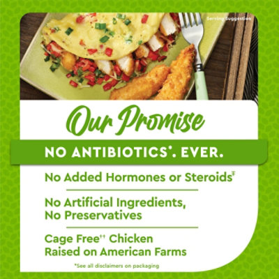 Just Bare Lightly Breaded Chicken Breast Strips 36 Oz - 36 OZ - Image 5