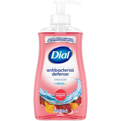 Dial Liquid Hand Soap Ab Pomegranate & Tangerine Ip12/11floz Us - 11 FZ - Image 1