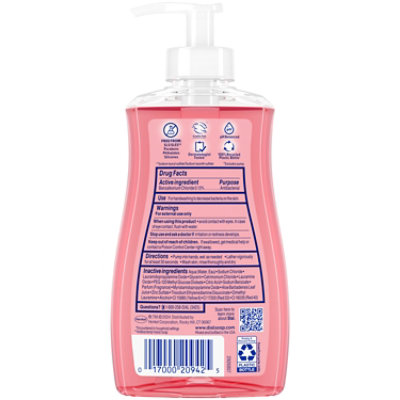 Dial Liquid Hand Soap Ab Pomegranate & Tangerine Ip12/11floz Us - 11 FZ - Image 4