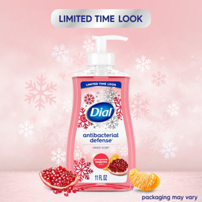 Dial Liquid Hand Soap Ab Pomegranate & Tangerine Ip12/11floz Us - 11 FZ - Image 3