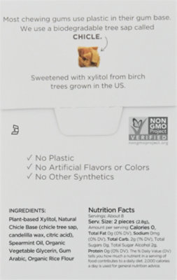 Simply Gum Sf Spearmint Chewing Gum 55ct - 55 CT - Image 6