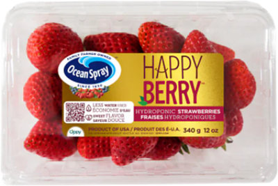 Happy Berry Strawberries Hydroponic 2 Lb - 2 LB - Image 1