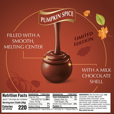 Lindor Pumpkin Spice Bag - 8.5 OZ - Image 4