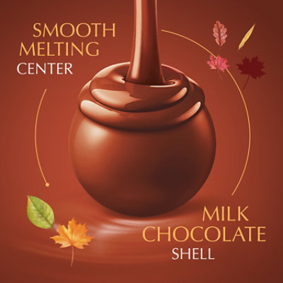 Lindor Pumpkin Spice Bag - 8.5 OZ - Image 3