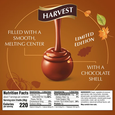 Lindor Harvest Astd Bag - 8.5 OZ - Image 4