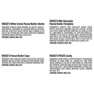 REESE'S Assorted Flavored Snack Size Peanut Butter Halloween Candy Bag - 30.45 Oz - Image 4
