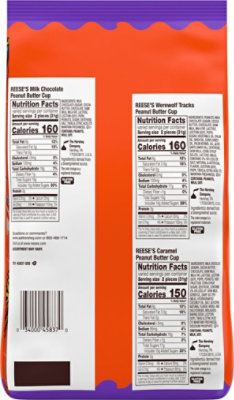 REESE'S Assorted Flavored Snack Size Peanut Butter Cups Halloween Candy Bag - 30.25 Oz - Image 5
