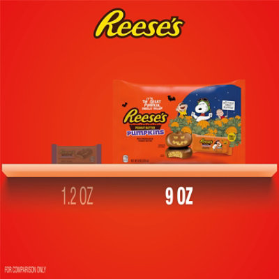 REESE'S Snoopy & Friends Milk Chocolate Peanut Butter Pumpkins Halloween Candy Bag - 9 Oz - Image 5