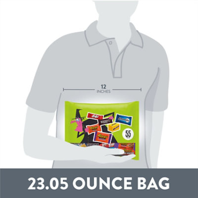 Hershey Assorted Flavored Halloween Candy Bag - 23.05 Oz - Image 5