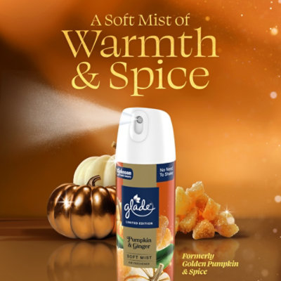 Glade Aerosol Air Freshener, Limited Edition Pumpkin & Ginger - 8 Oz. - 8 OZ - Image 4