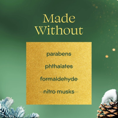 Glade Plugins Scented Oil Refills, Limited Edition Balsam & Spruce - 2-.67 Fl. Oz. - 2-.67 FZ - Image 5
