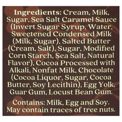 Emerald Ice Cream Irish Chocolate Salted Caramel - 16 FZ - Image 4