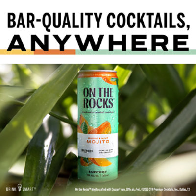 Otr Mojito Cktl Mango Mint 4-355 Ml - 4-355 ML - Image 2