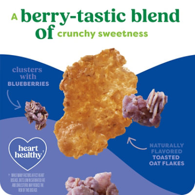 Kashi Organic Cereal Blueberry 17.2oz - 17.2 OZ - Image 2