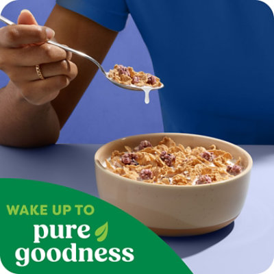 Kashi Organic Cereal Blueberry 17.2oz - 17.2 OZ - Image 5