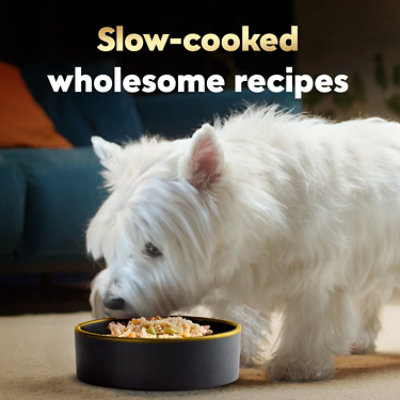 Cesar Wholesome Chicken/carrot/barley/grbn - 17.6 OZ - Image 3