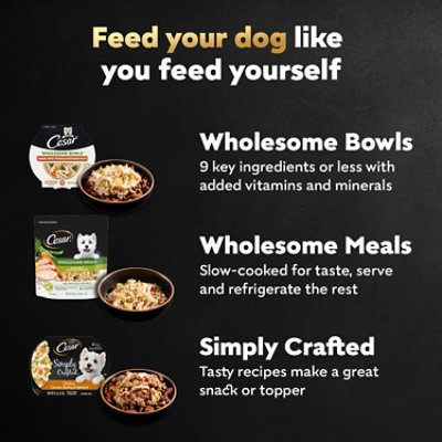 Cesar Wholesome Beef/chckn/carrot/barley - 17.6 OZ - Image 2