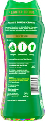 Gain Limited Edition Wicked Wonderfullest Woods and Beautifical Blossom Scent Booster - 12.2 Oz - Image 4