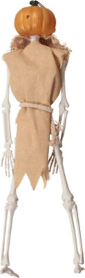 Sunstar Industries 16 Inch Dressed Skeleton Pumpkin - Each - Image 4