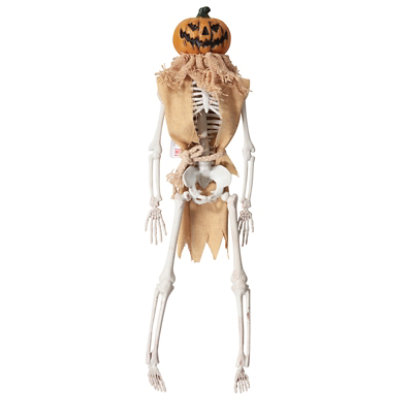 Sunstar Industries 16 Inch Dressed Skeleton Pumpkin - Each - Image 1