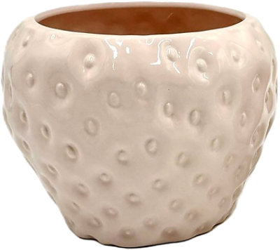 Overjoyed Boutique Strawberry Orchid Pot Pink 4 Inch - Each - Image 1