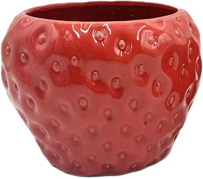 Overjoyed Boutique Strawberry Orchid Pot Red 4 Inch - Each - Image 1