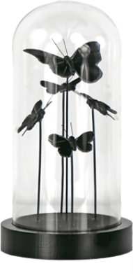 Overjoyed Boutique Moth Dome Decor Large - Each - Image 1