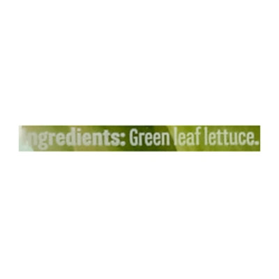 Earthbound Farm Greenhouse Crisp Lettuce - 4 Oz - Image 3