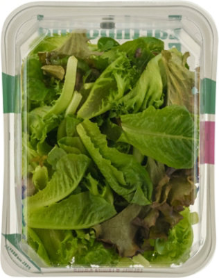 Earthbound Farm Greenhouse Spring Mix - 4 Oz - Image 4