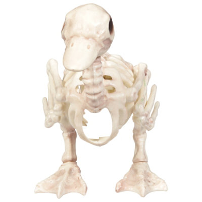Seasons Skeleton Duck - Each - Image 1