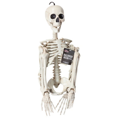 Sunstar Industries 35 Inch Skeleton - Each - Image 1