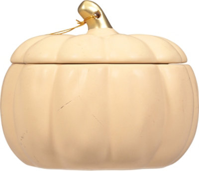 Paddywax Vanilla Chai Pumpkin Candle - 10 Oz - Image 4