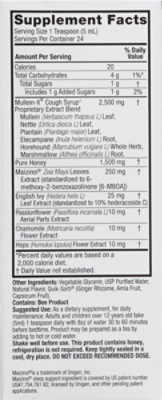 Natures Answer Mulleinx Nighttime Syrup - 4 FZ - Image 4