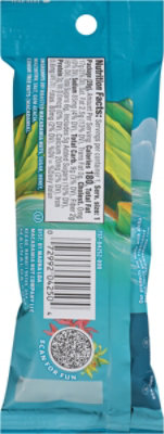 Mauna Loa Honey Roasted Mac Nuts - 1 OZ - Image 5