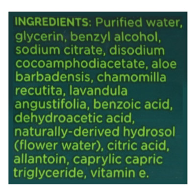 Goodwipes Botanical Bliss 2pk - 120 CT - Image 3