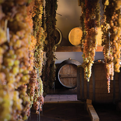 Castello Di Volpaia Riserva Wine - 750 ML - Image 2