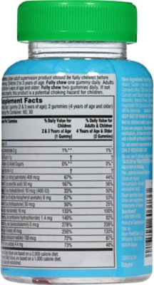 Flintstones Sugar Free Gumd 60ct 24s - 60 CT - Image 4