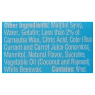 Flintstones Sugar Free Gumd 60ct 24s - 60 CT - Image 3