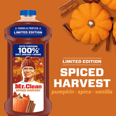 Mr. Clean Multi-surface Liquid Cleaner, Limited Edition Spiced Harvest - 41 Fl. Oz - 41 FZ - Image 4