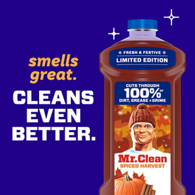 Mr. Clean Multi-surface Liquid Cleaner, Limited Edition Spiced Harvest - 41 Fl. Oz - 41 FZ - Image 6