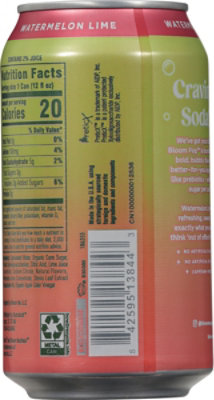 Bloom Pop Watermelon Lime 12fz - 12 FZ - Image 5